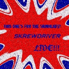 Skrewdriver - This One’s for the heads  - CD